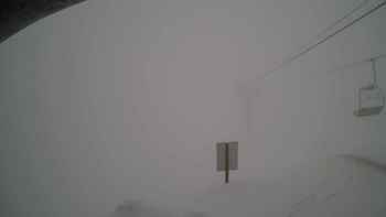 Красія 11 лютого 2019 року, 2019-02-11 10:00