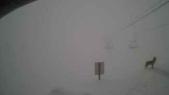 Красія 11 лютого 2019 року, 2019-02-11 13:00