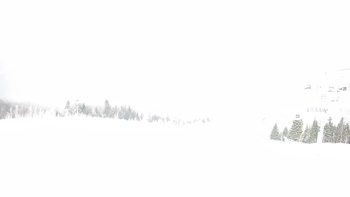 Красія 19 лютого 2019 року, 2019-02-19 13:00