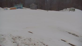 Красія 5 березня 2019 року, 2019-03-05 16:00