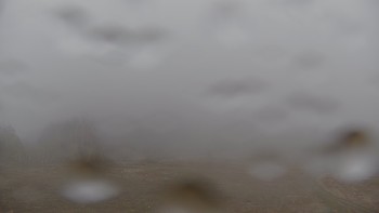 Красія 28 квітня 2019 року, 2019-04-28 13:00