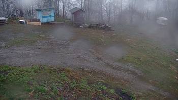 Красія 28 квітня 2019 року, 2019-04-28 16:00