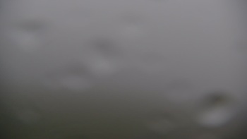 Красія 22 травня 2019 року, 2019-05-22 13:00