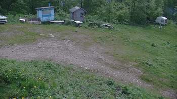 Красія 29 травня 2019 року, 2019-05-29 16:00