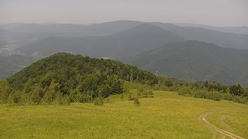 Красія 15 червня 2019 року, 2019-06-15 13:00