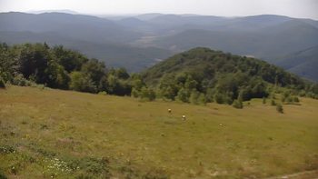 Красія 4 липня 2019 року, 2019-07-04 16:00