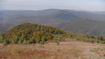 Красія 2 жовтня 2019 року, 2019-10-02 13:00