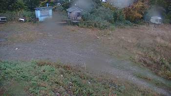 Красія 3 жовтня 2019 року, 2019-10-03 16:00