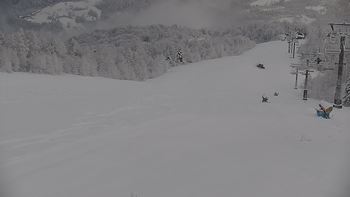 Красія 29 січня 2020 року, 2020-01-29 10:00