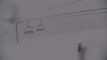 Красія 31 січня 2020 року, 2020-01-31 13:00