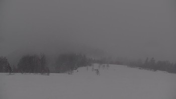 Красія 21 лютого 2020 року, 2020-02-21 16:00