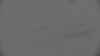 Красія 25 лютого 2020 року, 2020-02-25 10:00