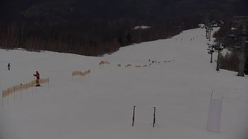 Красія 1 березня 2020 року, 2020-03-01 16:00