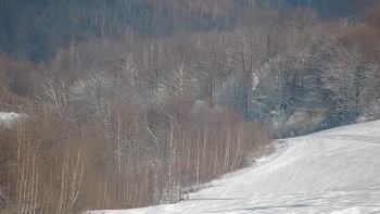 Красія 5 березня 2020 року, 2020-03-05 10:00