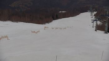 Красія 6 березня 2020 року, 2020-03-06 16:00