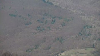 Красія 14 квітня 2020 року, 2020-04-14 16:00