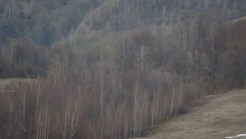 Красія 15 квітня 2020 року, 2020-04-15 16:00