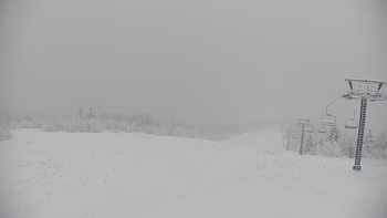Красія 14 січня 2021 року, 2021-01-14 13:00
