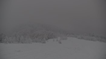 Красія 14 січня 2021 року, 2021-01-14 16:00