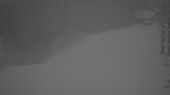 Красія 15 січня 2021 року, 2021-01-15 10:00