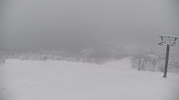 Красія 16 січня 2021 року, 2021-01-16 13:00