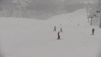 Красія 17 січня 2021 року, 2021-01-17 13:00