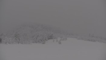 Красія 19 січня 2021 року, 2021-01-19 10:00