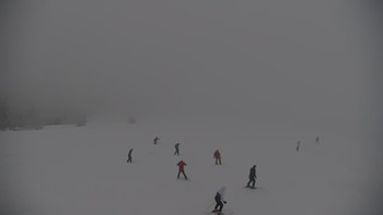 Красія 20 січня 2021 року, 2021-01-20 16:00