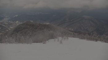 Красія 21 січня 2021 року, 2021-01-21 10:00