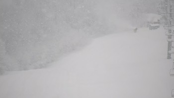 Красія 27 січня 2021 року, 2021-01-27 13:00