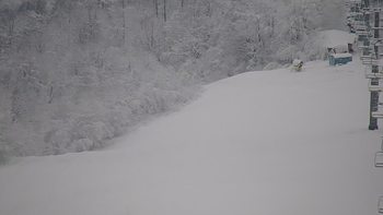 Красія 28 січня 2021 року, 2021-01-28 13:00