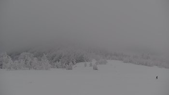 Красія 30 січня 2021 року, 2021-01-30 10:00