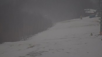 Красія 8 лютого 2021 року, 2021-02-08 10:00