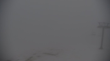 Красія 8 лютого 2021 року, 2021-02-08 16:00