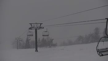 Красія 11 лютого 2021 року, 2021-02-11 10:00