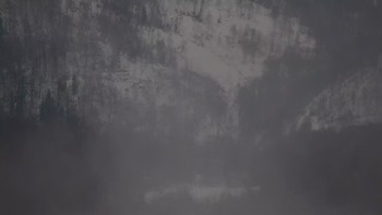 Красія 17 лютого 2021 року, 2021-02-17 10:00
