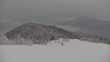 Красія 18 лютого 2021 року, 2021-02-18 10:00