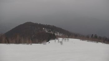 Красія 17 березня 2021 року, 2021-03-17 10:00
