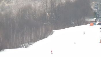 Красія 19 березня 2021 року, 2021-03-19 13:00