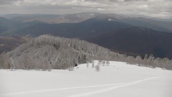 Красія 28 березня 2021 року, 2021-03-28 13:00
