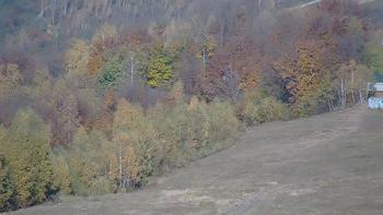 Красія 25 жовтня 2021 року, 2021-10-25 13:00