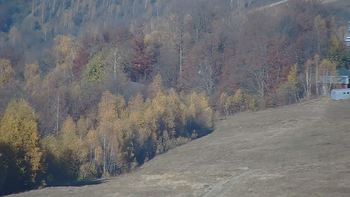 Красія 31 жовтня 2021 року, 2021-10-31 13:00
