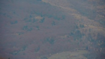 Красія 4 листопада 2021 року, 2021-11-04 10:00