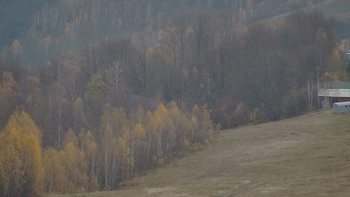 Красія 5 листопада 2021 року, 2021-11-05 16:00