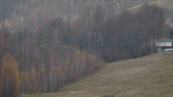 Красія 14 листопада 2021 року, 2021-11-14 10:00