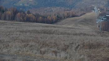 Красія 14 листопада 2021 року, 2021-11-14 13:00