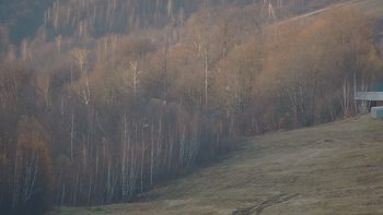 Красія 17 листопада 2021 року, 2021-11-17 16:00