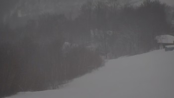 Красія 13 грудня 2021 року, 2021-12-13 10:00