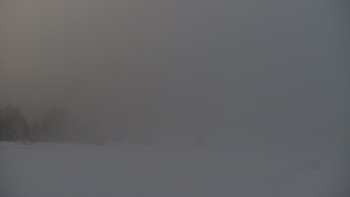 Красія 28 грудня 2021 року, 2021-12-28 16:00
