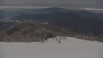 Красія 9 січня 2022 року, 2022-01-09 10:00